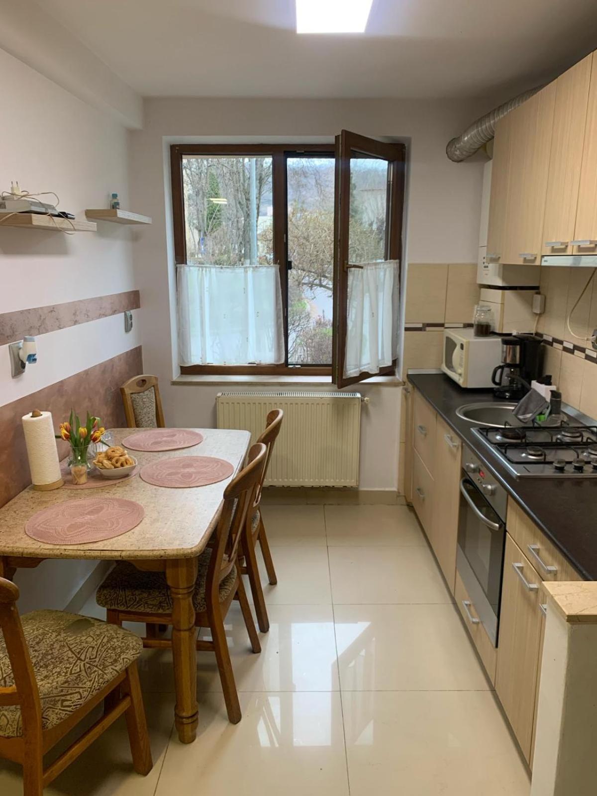 River House Διαμέρισμα Κλουζ-Ναπόκα Εξωτερικό φωτογραφία