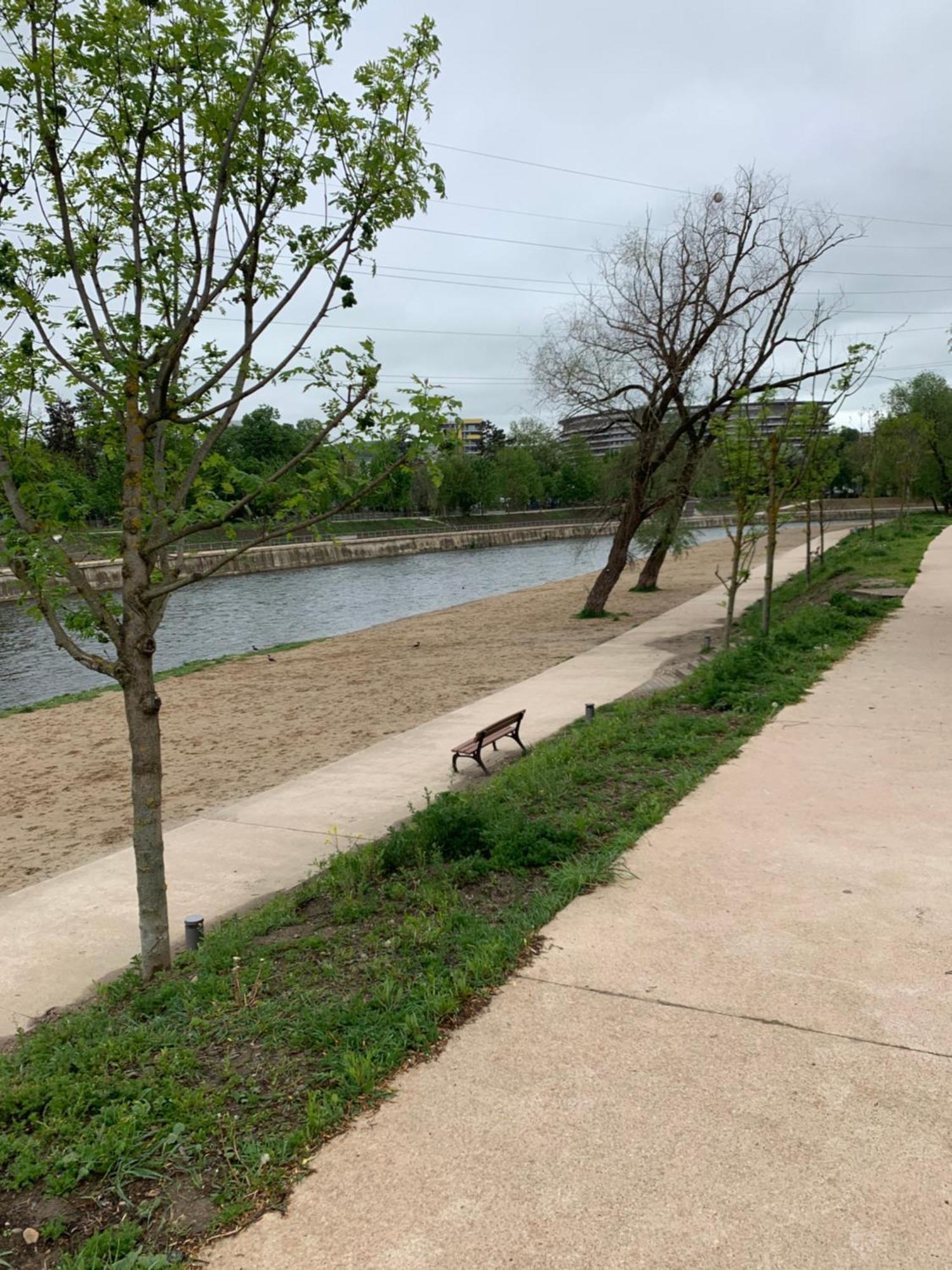 River House Διαμέρισμα Κλουζ-Ναπόκα Εξωτερικό φωτογραφία